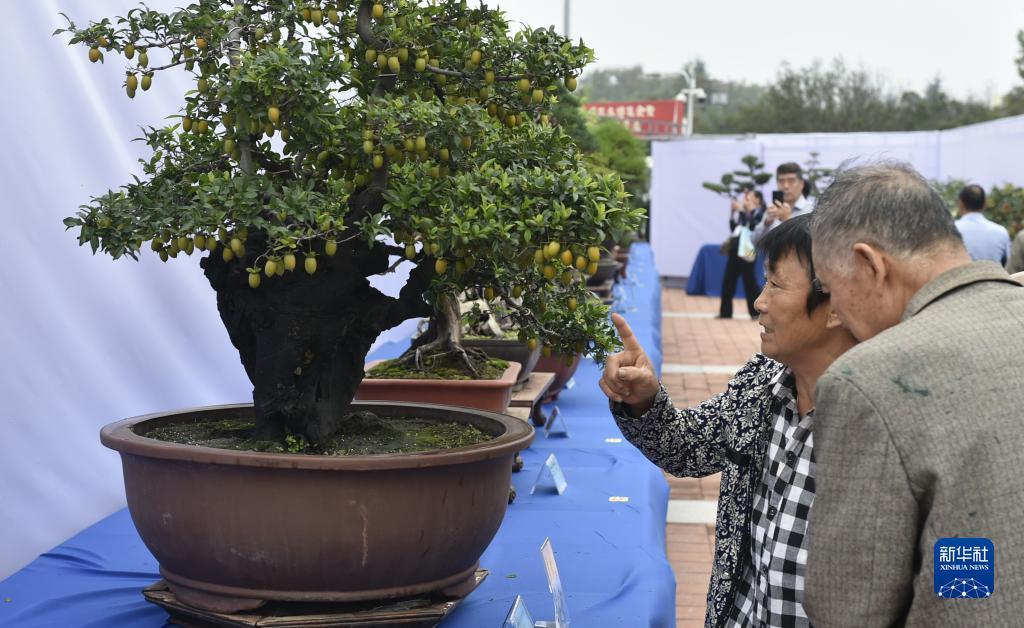 og东方馆平台